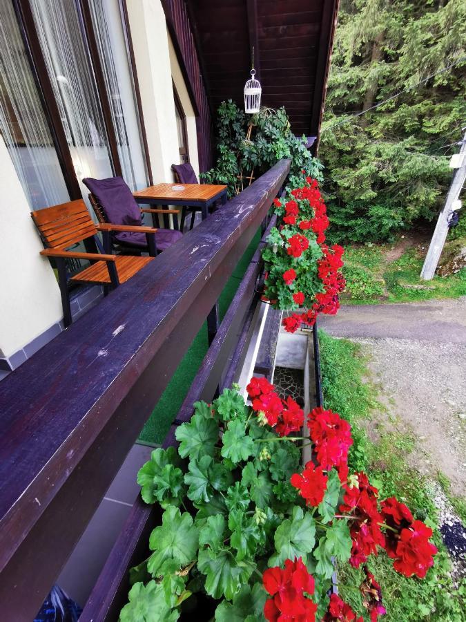 Apartament Kalinderu K1 Szászbuda Kültér fotó