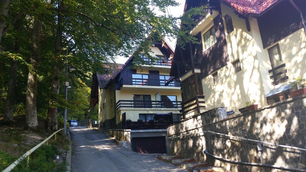 Apartament Kalinderu K1 Szászbuda Szoba fotó