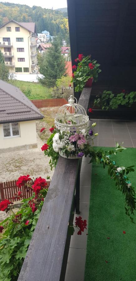 Apartament Kalinderu K1 Szászbuda Kültér fotó